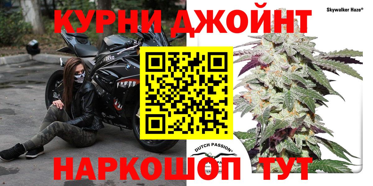 Кингисепп  Каннабис планчик  МАРИХУАНА VHQ  Вход с VPN  Марихуана VHQ 